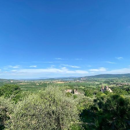 Locazione Turistica Ex Le Casette Di Cedromonte 파니칼레 외부 사진