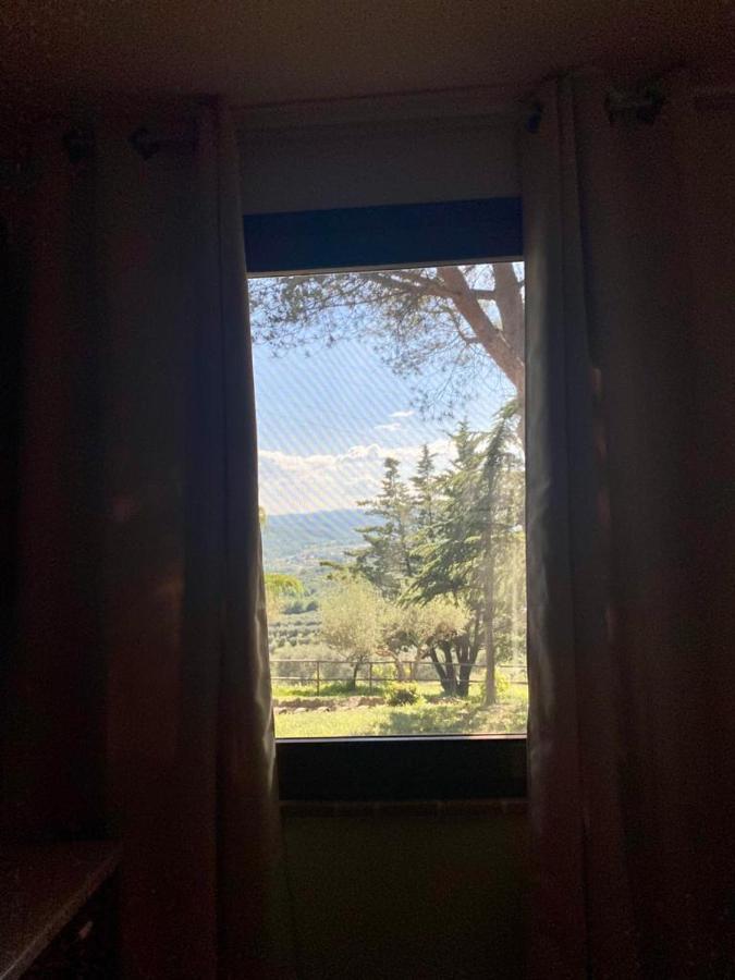 Locazione Turistica Ex Le Casette Di Cedromonte 파니칼레 외부 사진