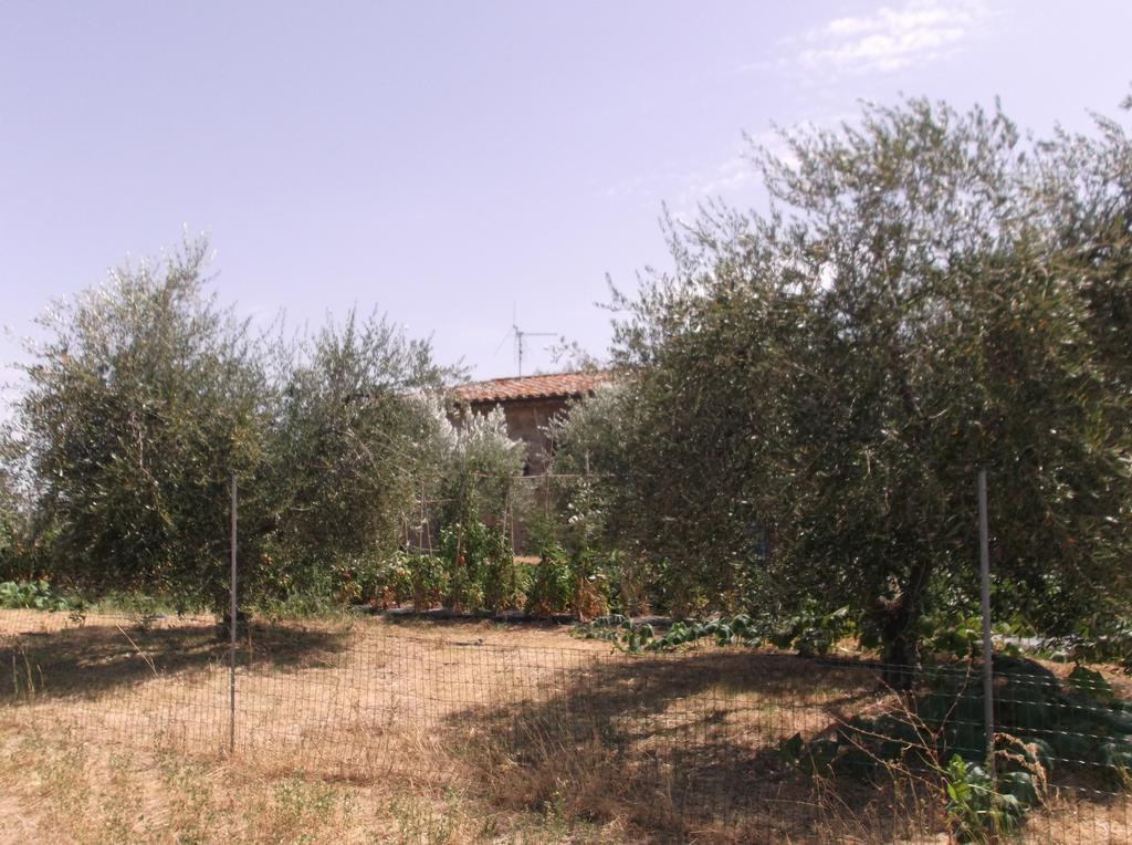 Locazione Turistica Ex Le Casette Di Cedromonte 파니칼레 외부 사진