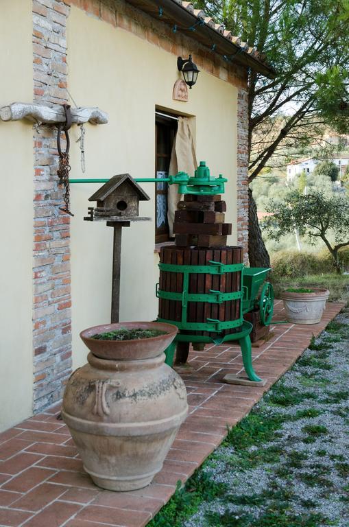 Locazione Turistica Ex Le Casette Di Cedromonte 파니칼레 객실 사진