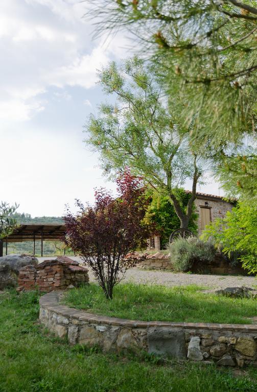 Locazione Turistica Ex Le Casette Di Cedromonte 파니칼레 외부 사진
